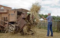 Ein Mann befüllt die historische Dreschmaschine mit Getreidegarben. Das Korn wird gesammelt, das Stroh zu Strohballen gebunden