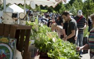 Besucherinnen und Besucher informieren sich an Ständen der Aussteller auf dem Gartenmarkt 'Jrön un Jedön'